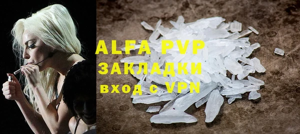 гашик Алексеевка