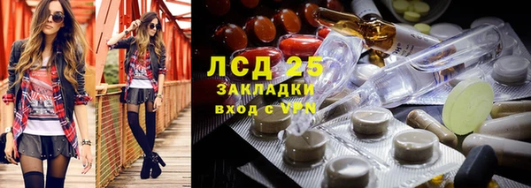 PSILOCYBIN Алзамай
