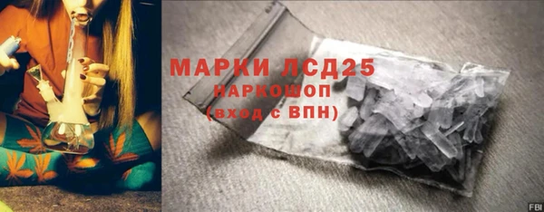 PSILOCYBIN Алзамай