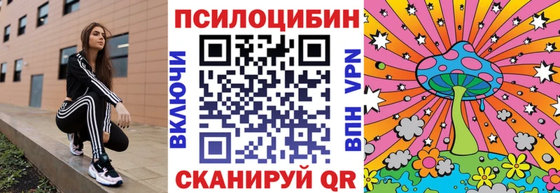 купить   Мичуринск  Галлюциногенные грибы MAGIC MUSHROOMS 