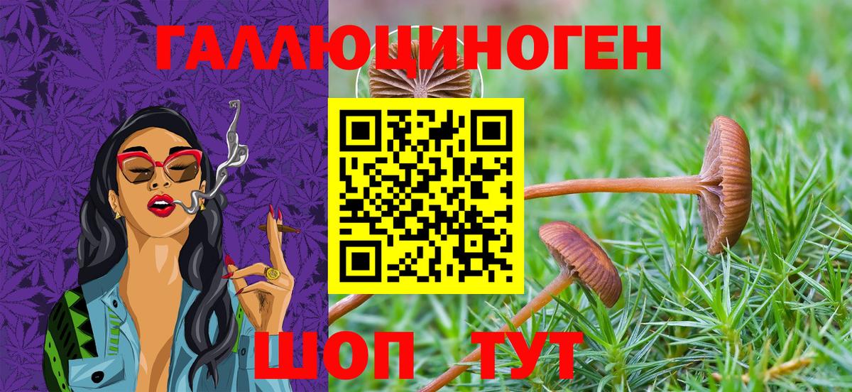 Галлюциногенные грибы мухоморы  Псилоцибиновые грибы GOLDEN TEACHER  Мичуринск  Вход с VPN 