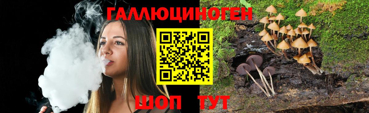 Псилоцибиновые грибы MAGIC MUSHROOMS Мичуринск